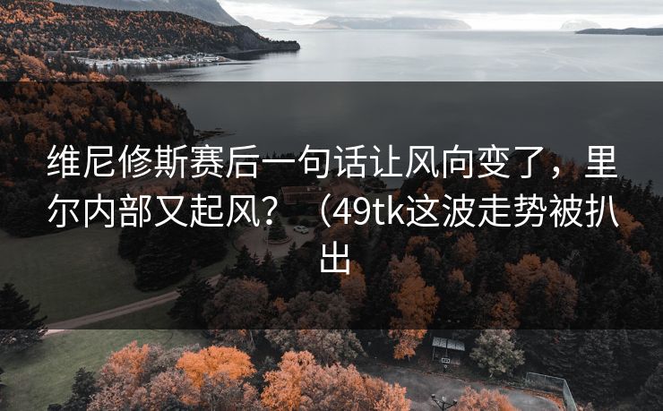 维尼修斯赛后一句话让风向变了，里尔内部又起风？（49tk这波走势被扒出