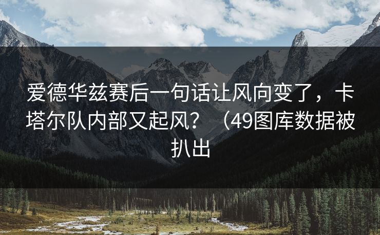 爱德华兹赛后一句话让风向变了,卡塔尔队内部又起风?(49图库数据被扒出 爱德华兹赛后一句话让风向变了,卡塔尔队内部又起风?(49图库数据被扒出