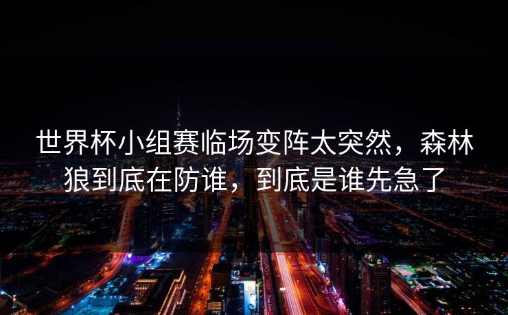 世界杯小组赛临场变阵太突然，森林狼到底在防谁，到底是谁先急了