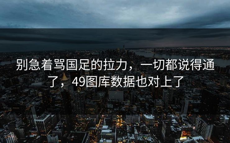 别急着骂国足的拉力,一切都说得通了,49图库数据也对上了 别急着骂国足的拉力,一切都说得通了,49图库数据也对上了